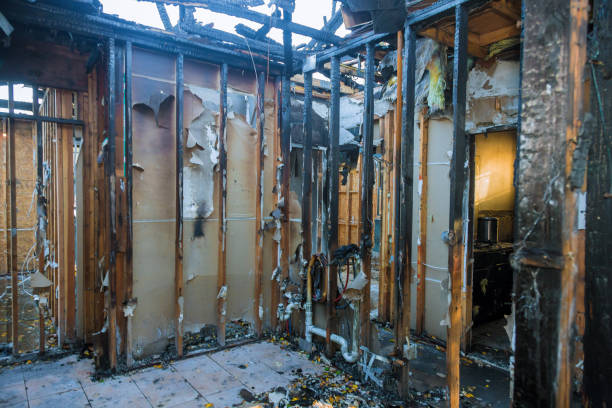Professional Odor Removal technician working in Harwich Center, MA